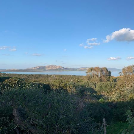 Cuile Nanni D'Oro Lägenhet Stintino Exteriör bild